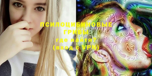 ГАЛЛЮЦИНОГЕННЫЕ ГРИБЫ Баксан
