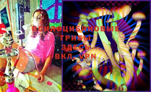 ГАЛЛЮЦИНОГЕННЫЕ ГРИБЫ Баксан