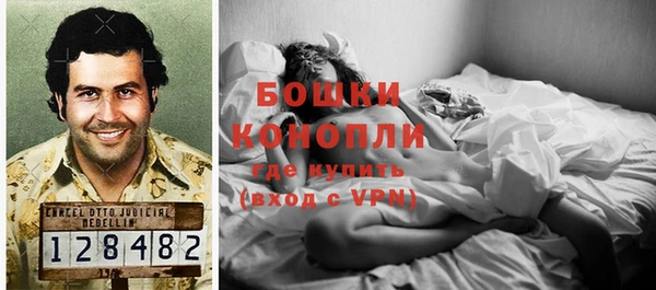 ГАЛЛЮЦИНОГЕННЫЕ ГРИБЫ Баксан