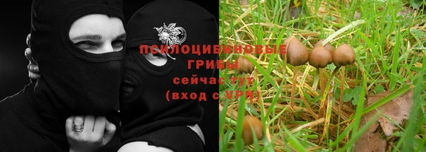 ГАЛЛЮЦИНОГЕННЫЕ ГРИБЫ Баксан